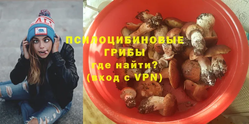 Галлюциногенные грибы Psilocybe  Лебедянь 